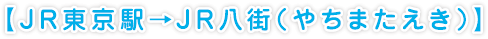 【JR東京駅→JR八街（やちまたえき）】