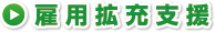 雇用拡充支援