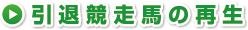 引退競走馬の再生